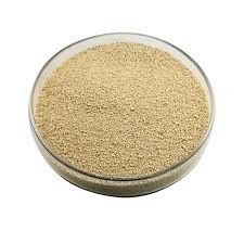 Vitamin B and lysine hydrochloride enriched beer yeast hydrolysate powder for animal feed