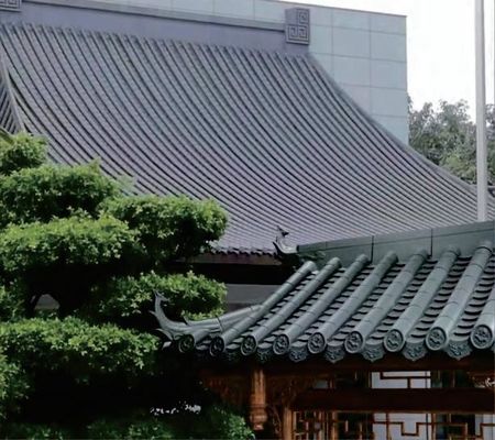 Building Materials Clay Roofing Tiles Mold Design with and 1100N Carrying Performance